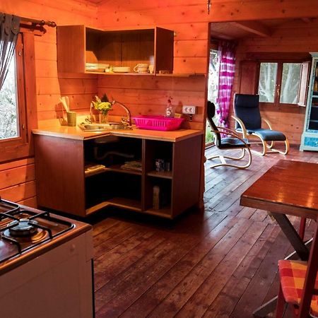 Mazo Finca Pura Vida Blockhaus المظهر الخارجي الصورة